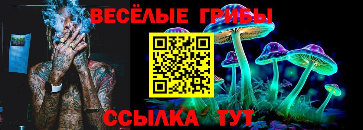 Псилоцибиновые грибы ЛСД  Псилоцибиновые грибы мицелий  магазин продажи   Пыть-Ях  Вход с VPN 